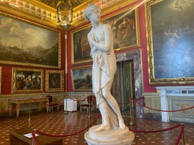 Tour of the galleries in the Pitti Palace 